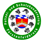 PSV FFB Logo