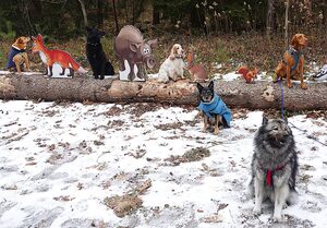 Die PSV F&uuml;rstenfeldbruck Wandergruppemit dem Hunden im Sch&ouml;ngeisinger Wald
