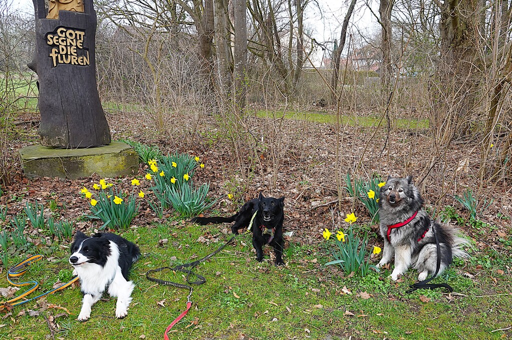 PSV FFB Wandergruppe Start in den Fr&uuml;hling