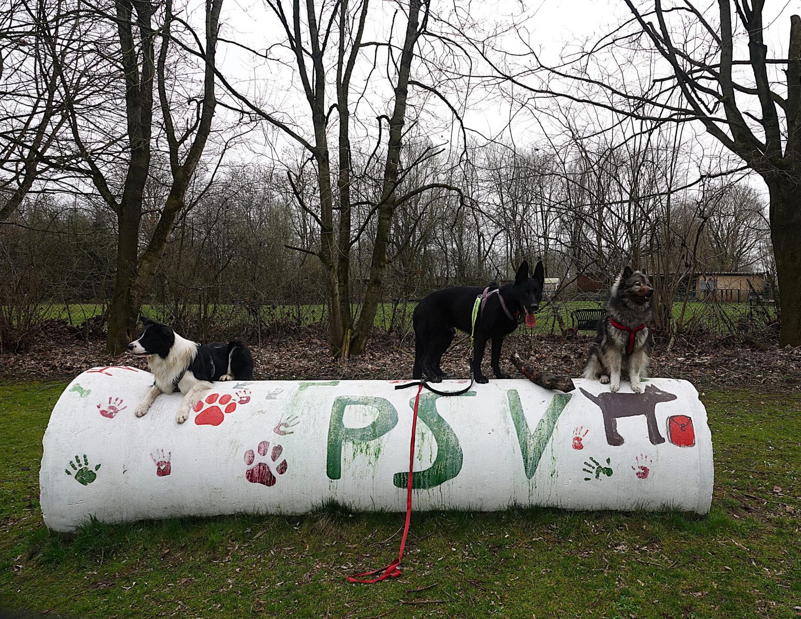 PSV Wandergruppe Pause auf der R&ouml;hre