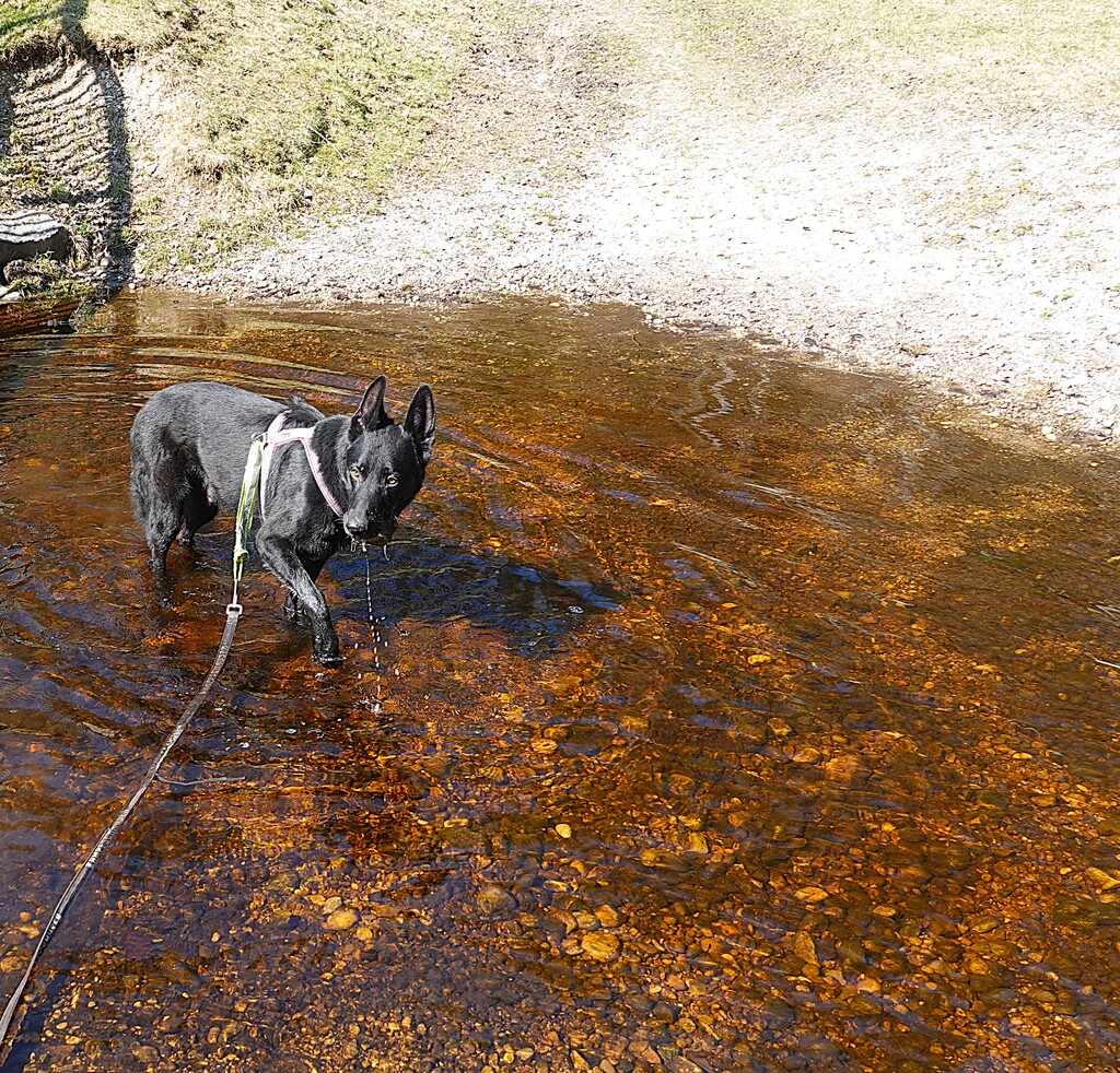 PSV FFB Wandergruppe Abk&uuml;hlung muss sein