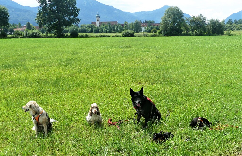 PSV FFB Wandergurppe in Benediktbeuren