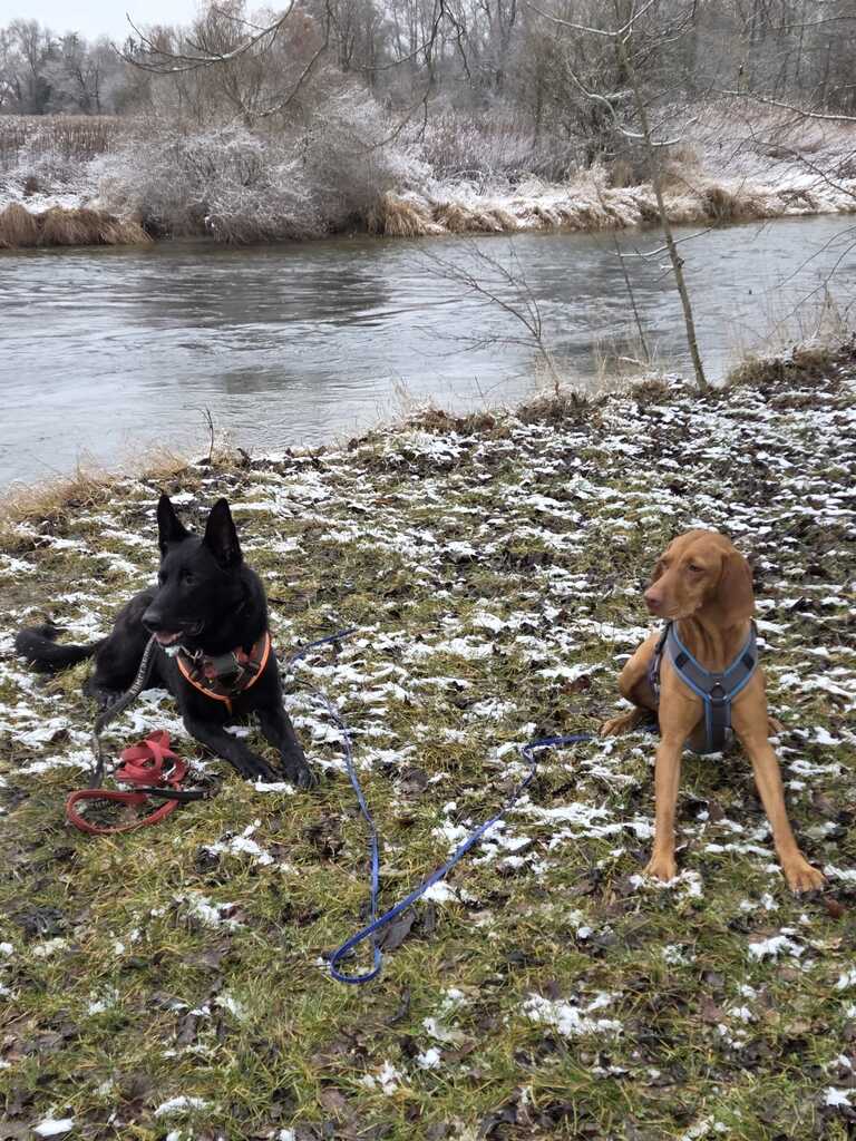 Fernwanderung mit der PSV FFB Wandergruppe unterwegs
