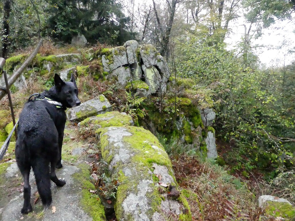 Auf dem Goldsteig unterwegs