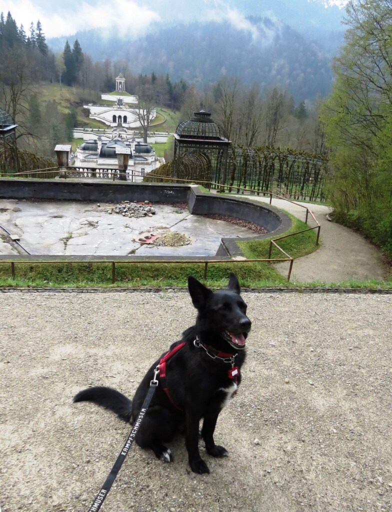 Fernwanderung mit Barny von Linderhof an der Ammer entlang